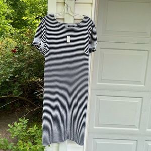 NWT Talbots Pretty Black White Stripe Lace on Short Sleeves Dress
